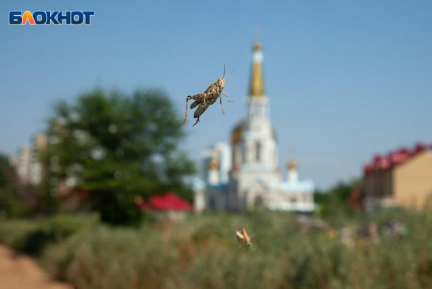 Солнце будет прятаться за облаками в пятницу: прогноз погоды в Волжском