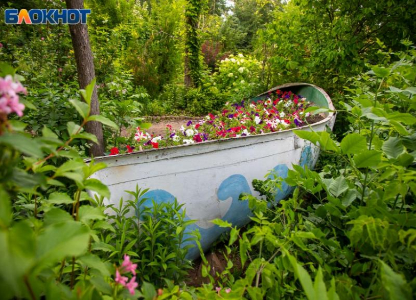 Что нельзя делать 15 августа: народные приметы от травницы в день Степана Сеновала