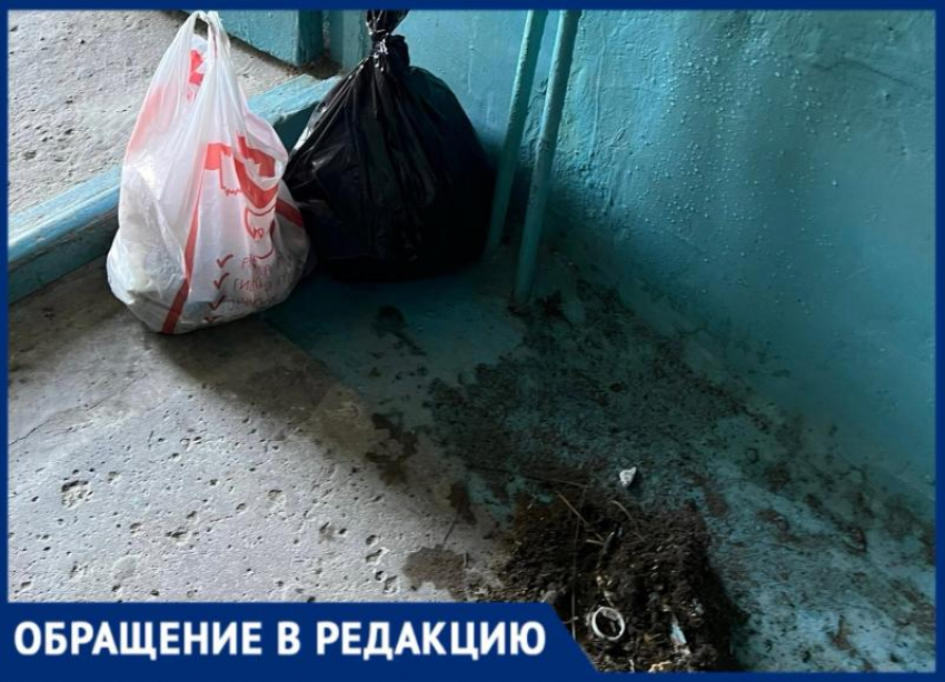 Два года без уборки: жители Волжского вынуждены сами мыть подъезды