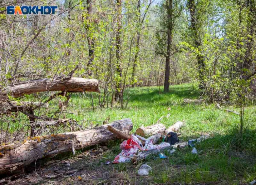 В окрестностях Волжского стартует операция по выявлению несанкционированных свалок