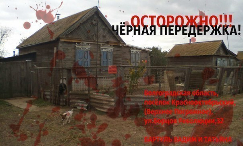 В Волжском защитники животных пожаловались на «черную передержку"
