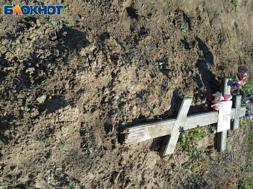 «Сшибают памятники и топчутся на могилах»: табун коней пасут на кладбище близ Волжского