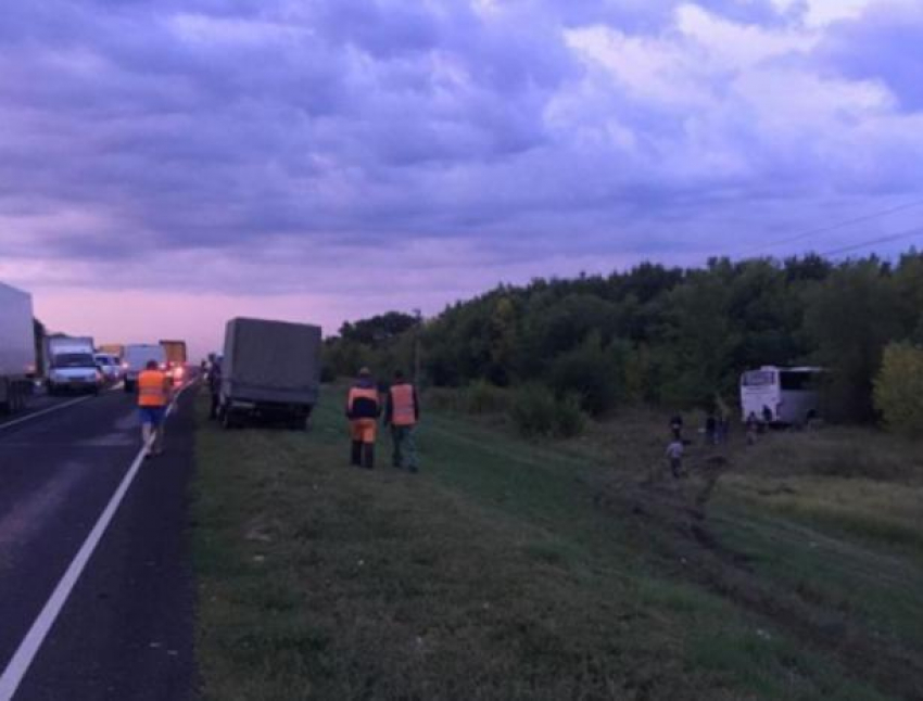 Трое человек погибли в ДТП с рейсовым автобусом в Волгоградской области