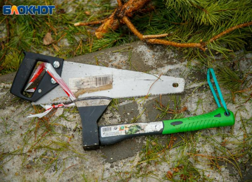 С воздуха и с земли: в окрестностях Волжского усилено патрулирование