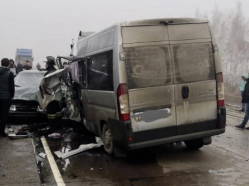 Пятеро волгоградцев погибли в ДТП на трассе «Москва-Астрахань»