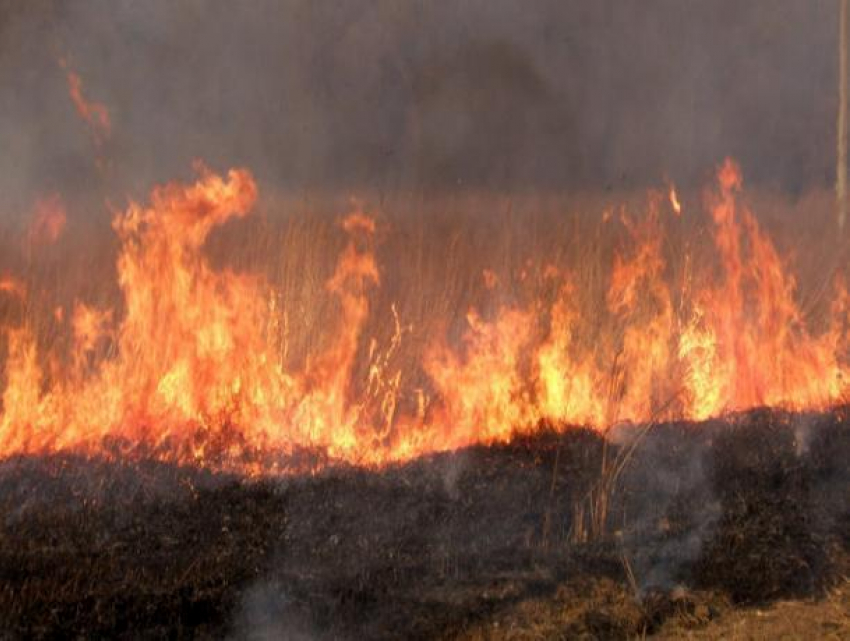 Новые пожары захватили окраины города в Волжском