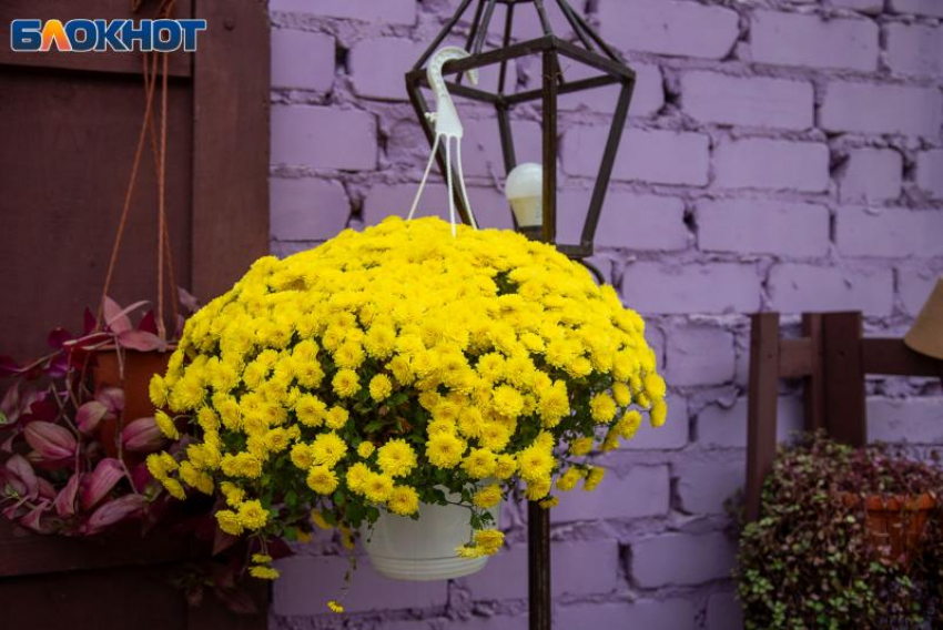 Григорий Зимоуказатель: древние приметы, зимние обряды и традиции