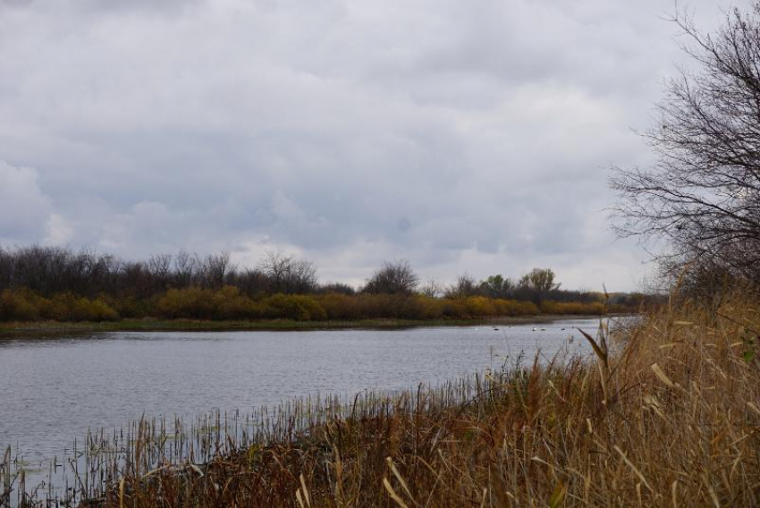 Безопасно и стабильно: радиационная обстановка в Волгоградской области без отклонений