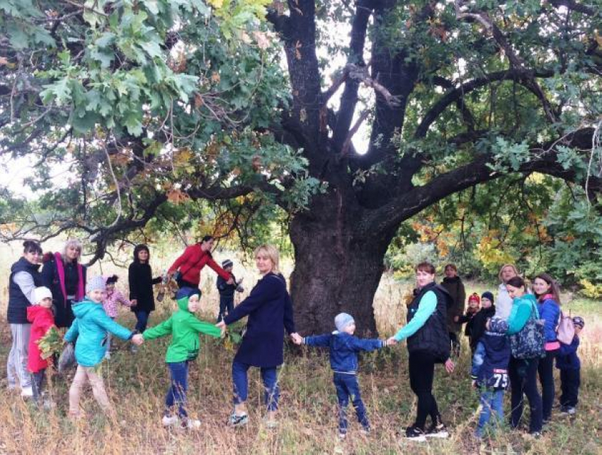 Детсадовцы познакомились с растительным миром Волго-Ахтубинской поймы