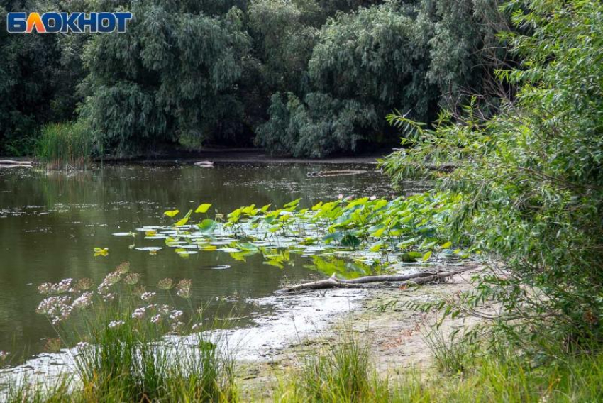 Непогода накроет Волгоградскую область до конца суток и в выходные