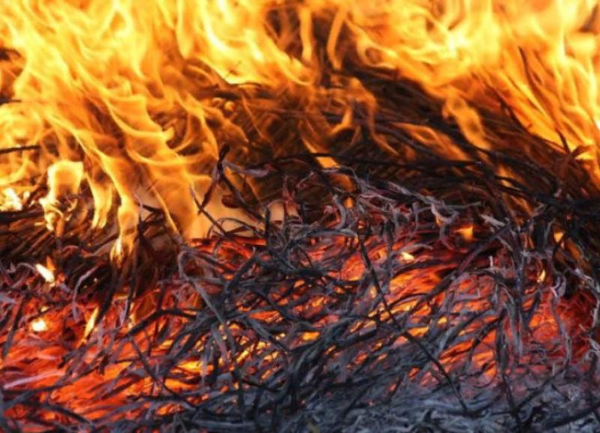 В Быковском районе сгорели запасы сена