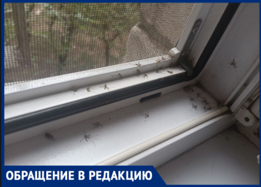 В комариное логово превратились квартиры МКД в Волжском из-за потопа в подвале