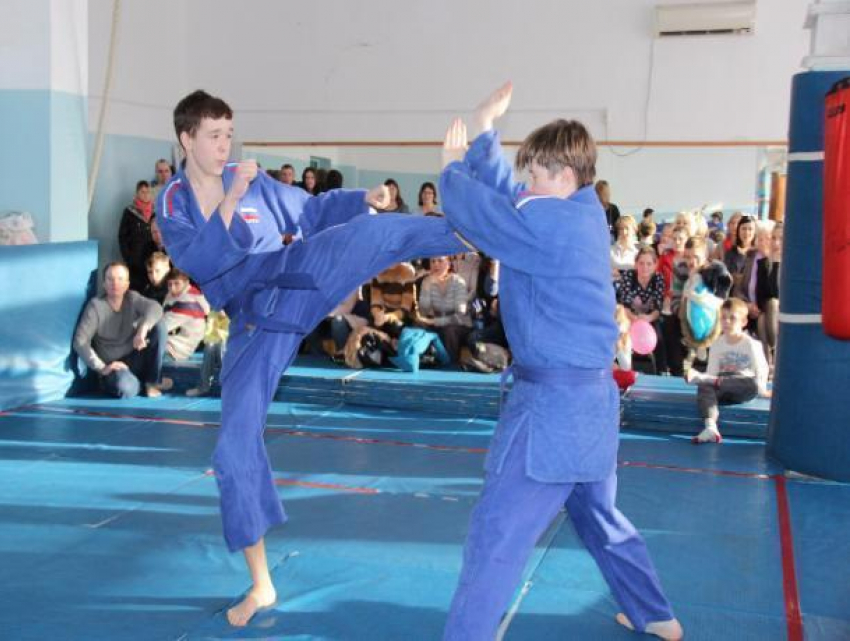 Волжские спортсмены завершили сезон по каратэ «Сейвакай"