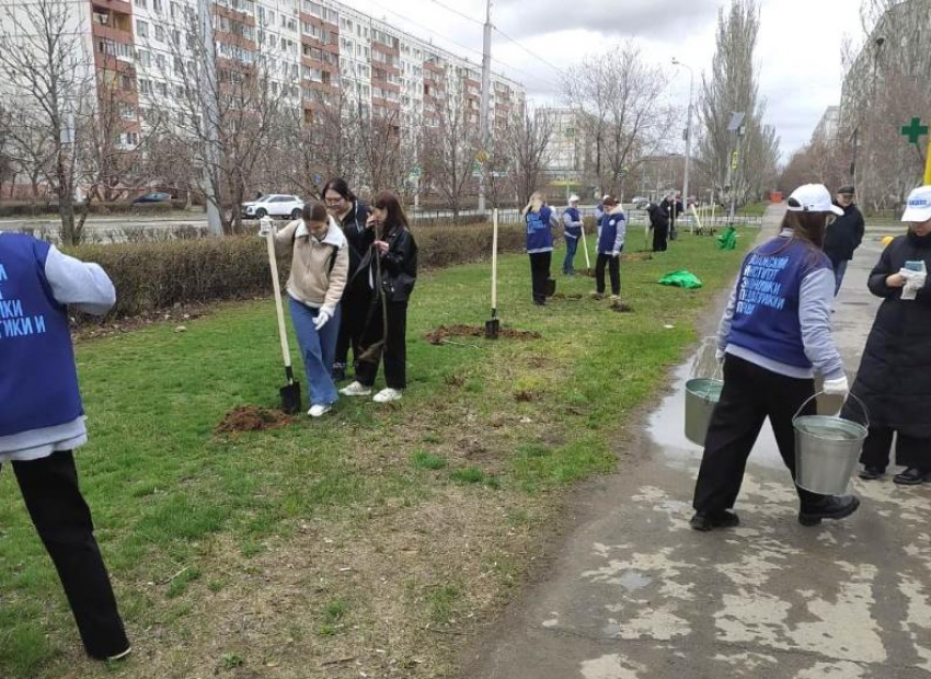 В Волжском началась весенняя акция по озеленению