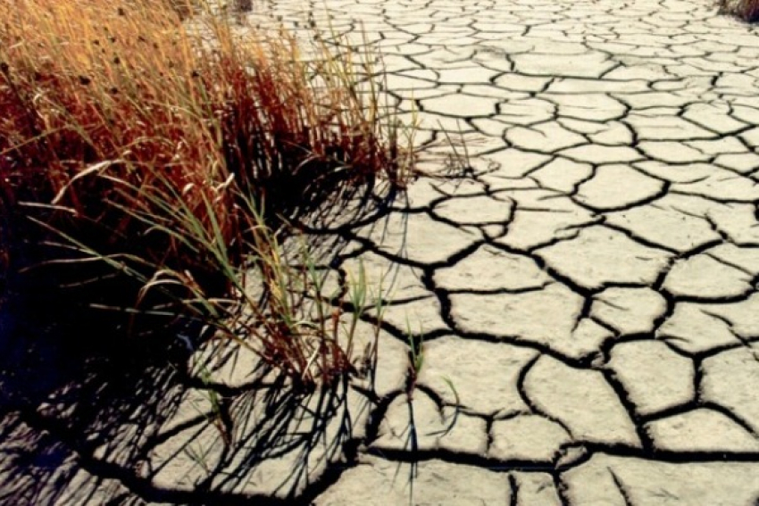 Маловодье обернется засухой, жаждой и пожарами для районов Волгоградской области