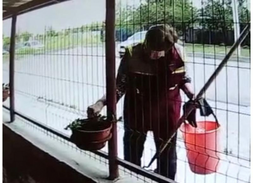 Неизвестная женщина украла цветы из горшков офиса в Волжском