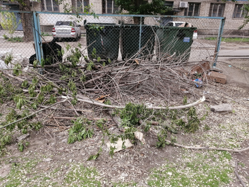 Детская площадка превратилась в свалку: в Волжском не вывозят сухостой