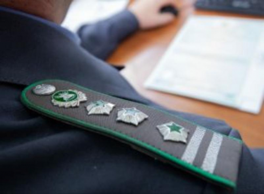 Среднеахтубинец позволил участку зарасти сорняками и лишился его по приговору суда