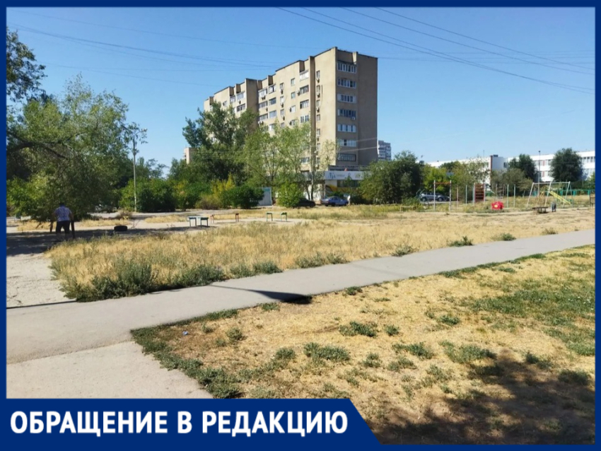 «Территория мечты, которую не замечают»: волжанка просит обустроить пустырь в 23 м микрорайоне Волжского»
