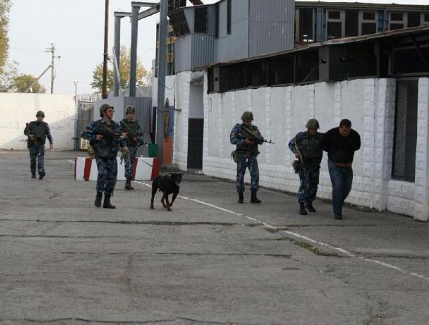 Волжский суд отказался смягчить наказание мажору, который сбил роллера в Волгограде