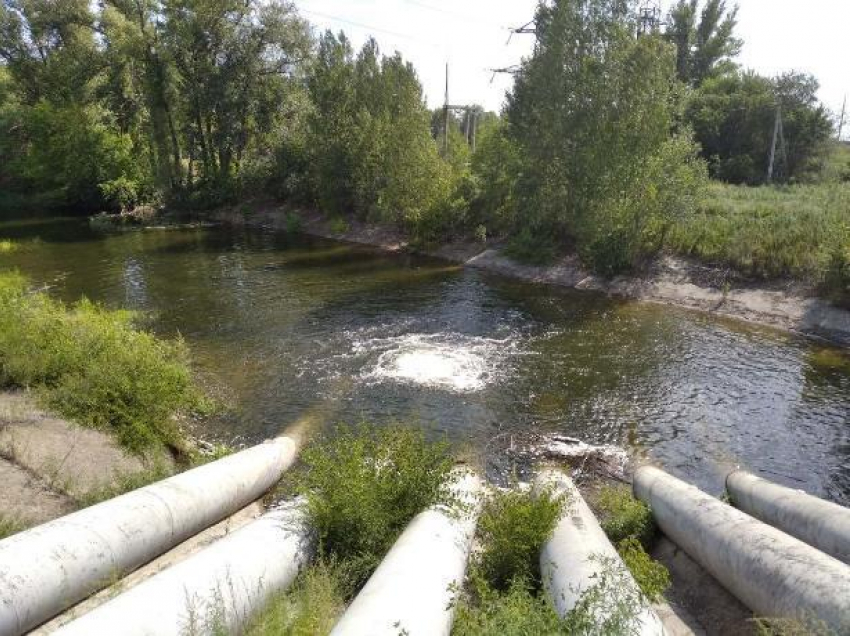 В Волго-Ахтубинскую пойму добавили воды