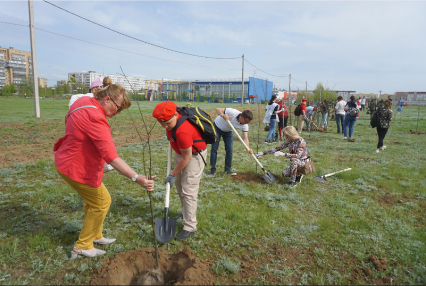 В Волжском снова начнут озеленять город