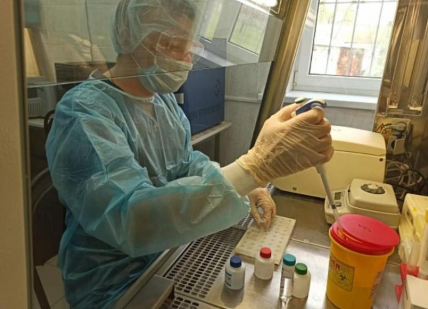 Привитые жители Волгоградской области сдают кровь для больных коронавирусом 