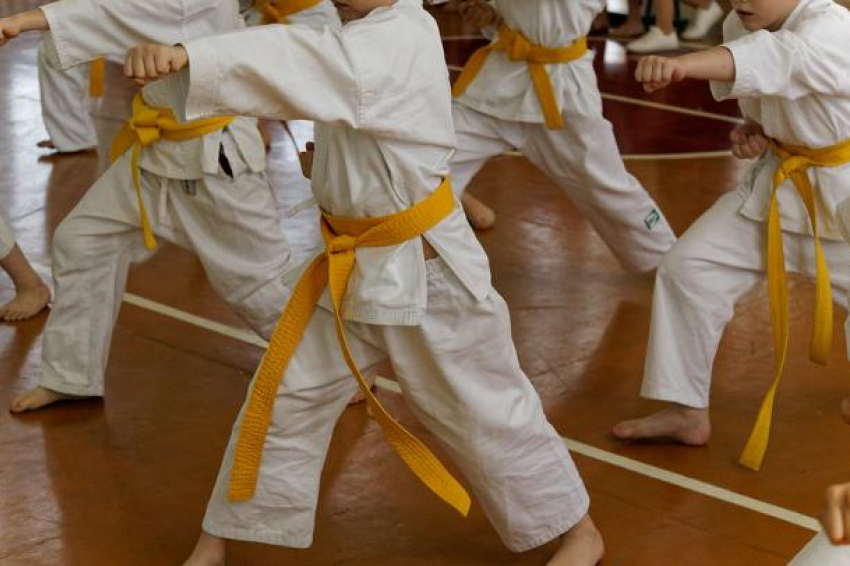 Волжский принимал турнир по олимпийской версии каратэ