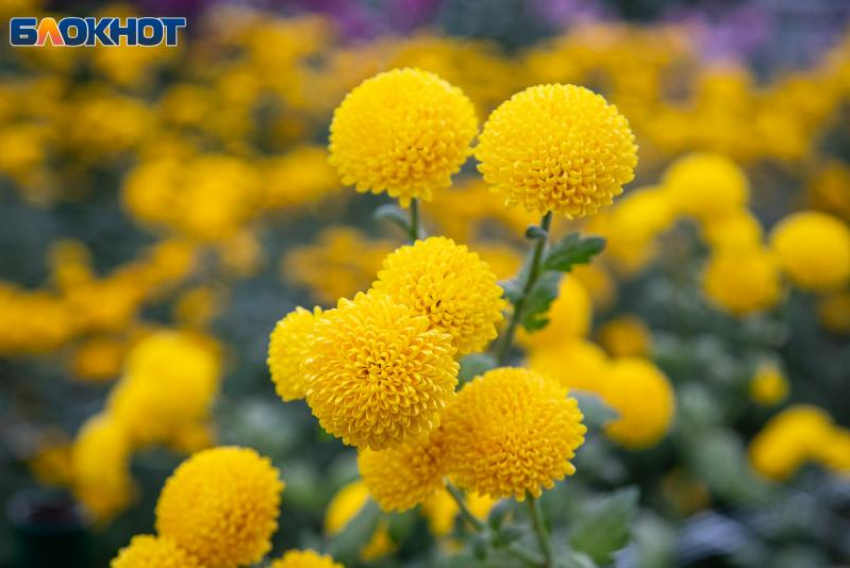 Слабая буря ожидает волжан в воскресенье