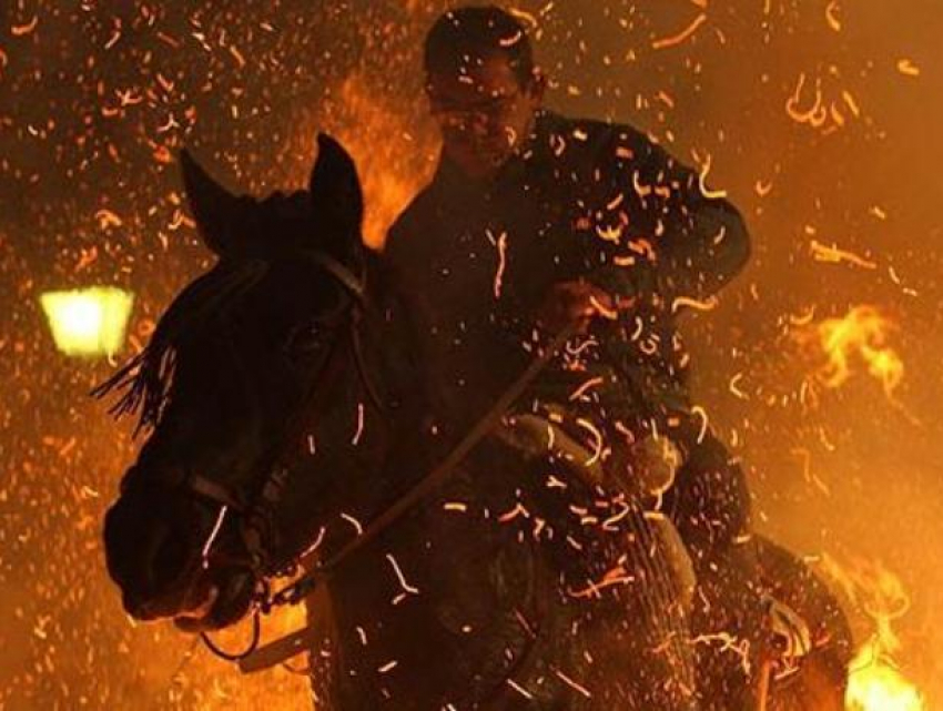 Животные сгорели в ночном пожаре в Волжском
