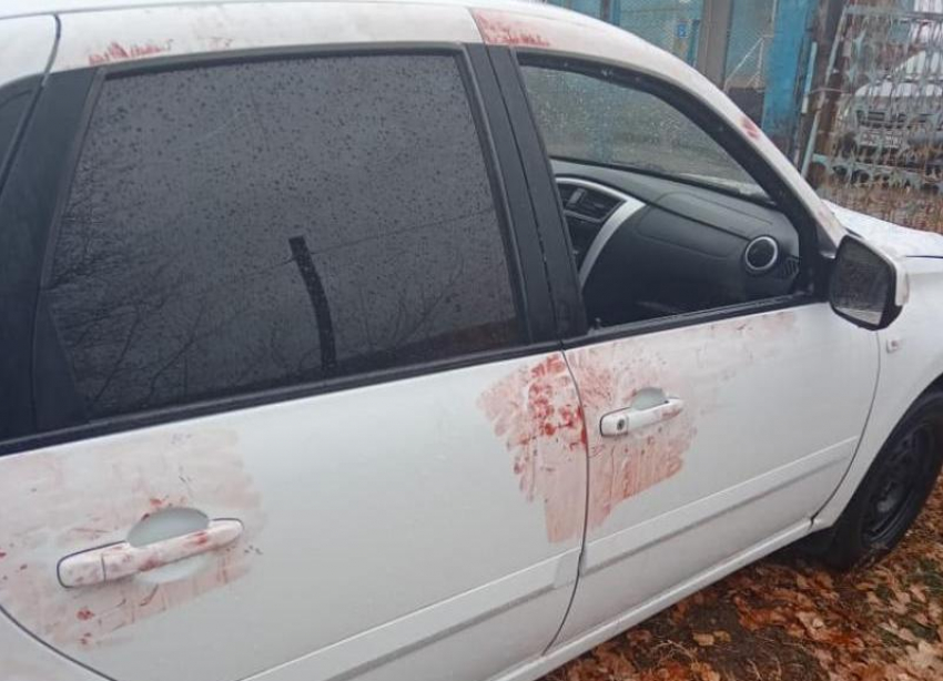 Откуда взялись кровавые пятна на авто в Волжском, пояснили эксперты