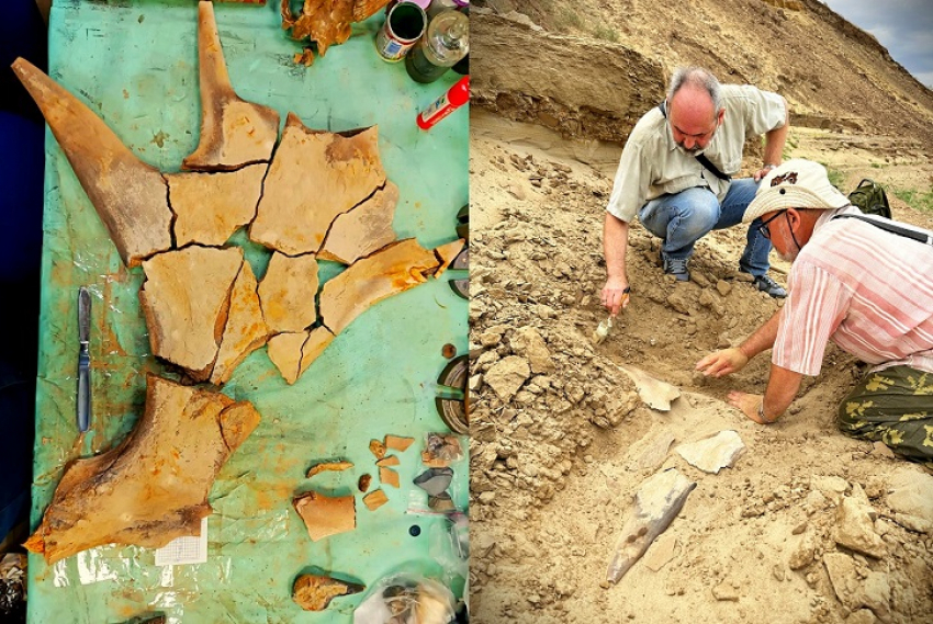 Волжские археологи нашли следы 200-летней цивилизации в Дубовском районе