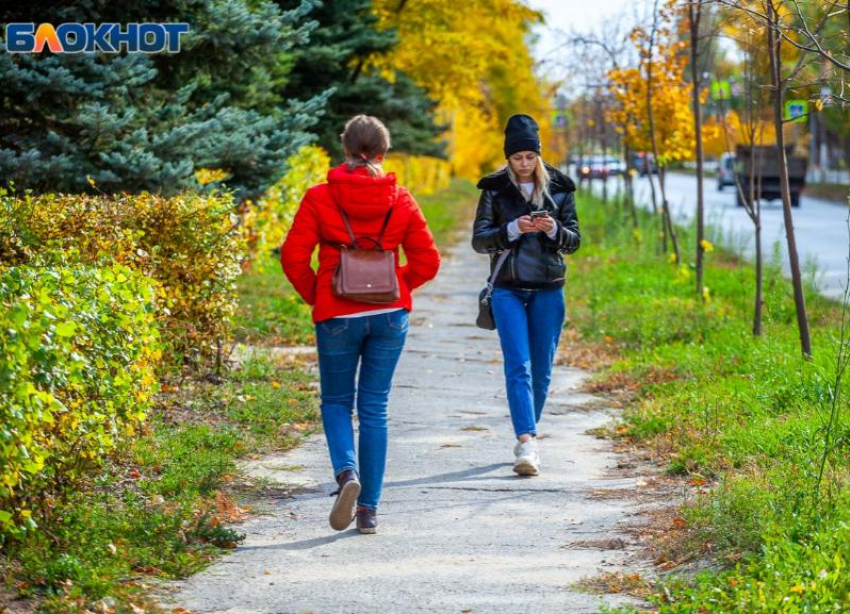 Заморозки и туман: погода на начало ноября в Волгоградской области