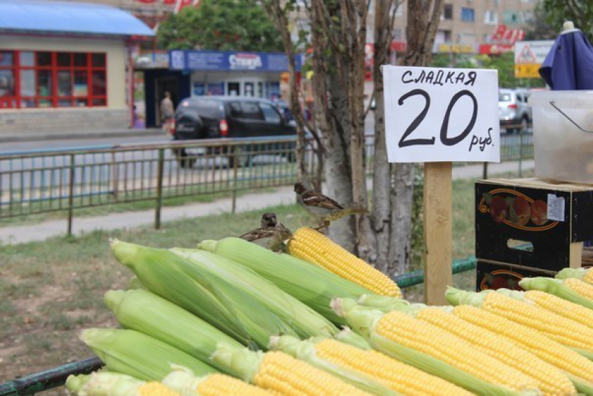 Волжан предупреждают об опасности продуктов с несанкционированных рынков