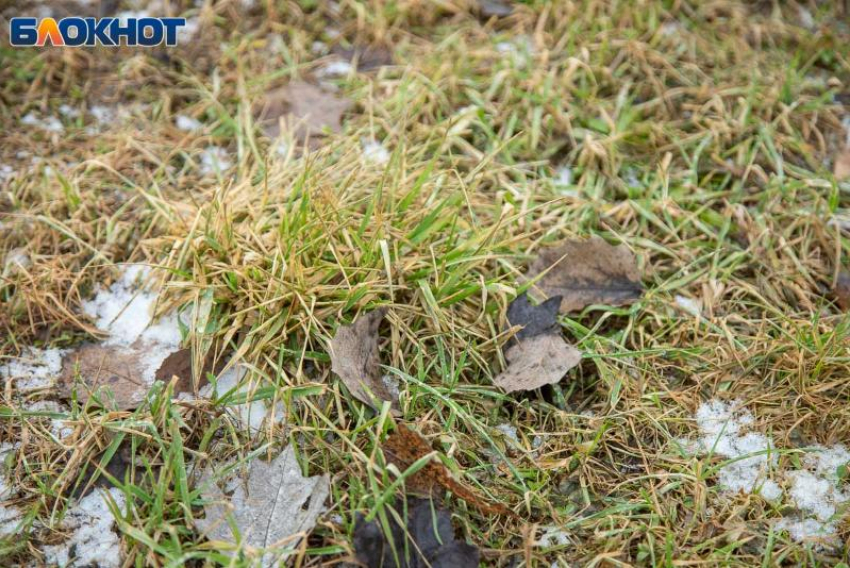 Что нельзя делать волжанам в день Василия Капельника