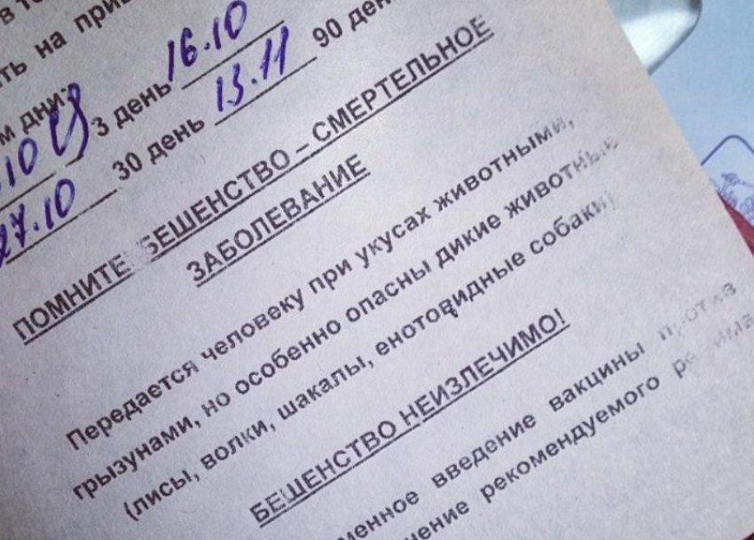 В Волгоградской области от бешенства умерла школьница: врачи смогли лишь облегчить ее последние дни