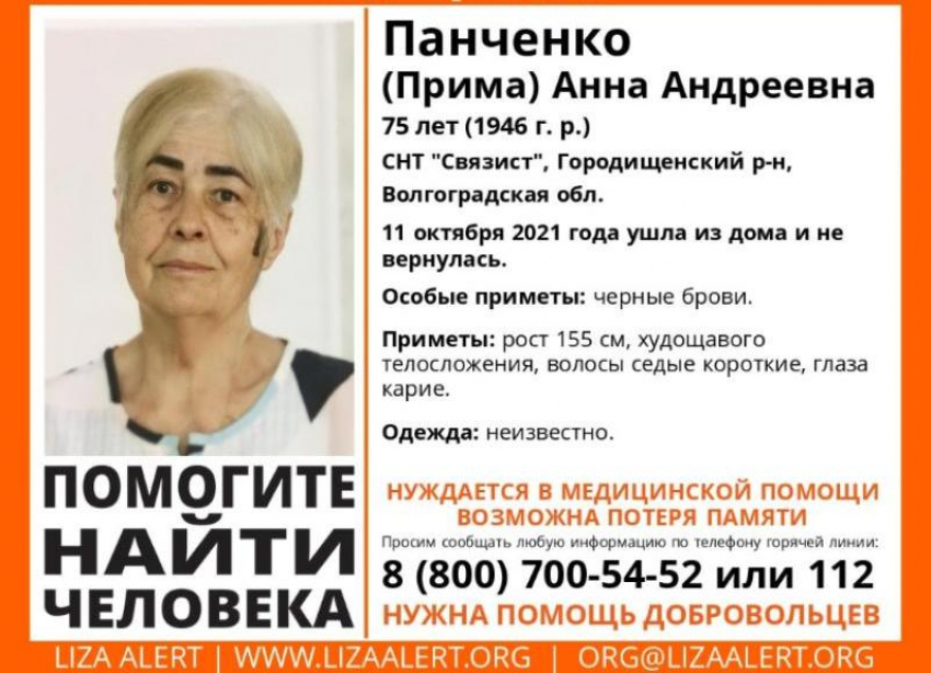 Пенсионерка с черными бровями бесследно исчезла в Волгоградской области