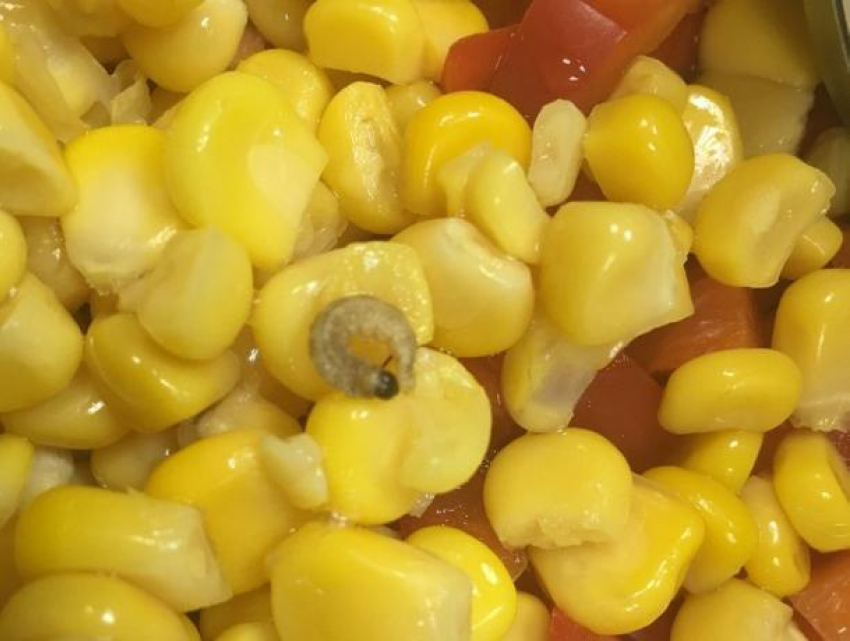 Мясистого червячка обнаружила волжанка в кукурузе по акции