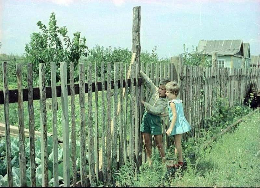 Один день из жизни: фото о советском детстве волжан показал «Блокнот Волжский»