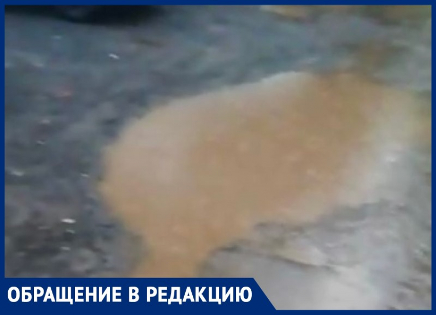 Огромные лужи, разбитая дорогая и сухие деревья: волжанка о забытом микрорайоне