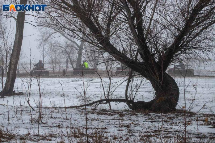 В Волжском снова холодает: мороз не отступает