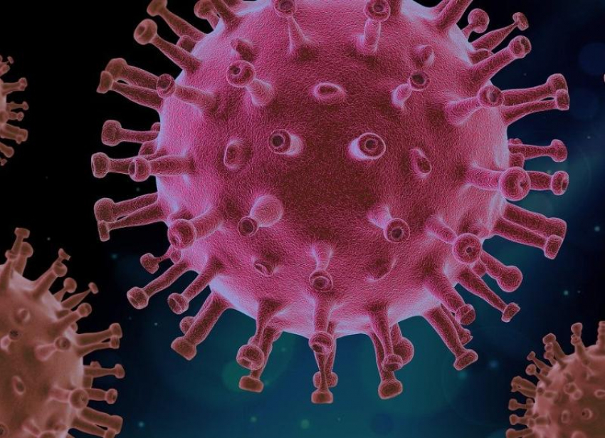 В России обнаружен «британский» штамм коронавируса