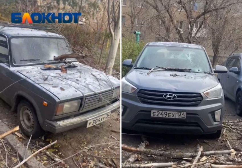 Ветки упавшего дерева разбили машины во дворе в Волжском: видео