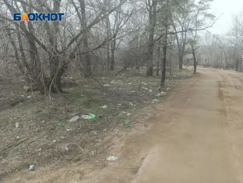 «Экологическая катастрофа»: вместо подснежников Волжский заполнил мусор