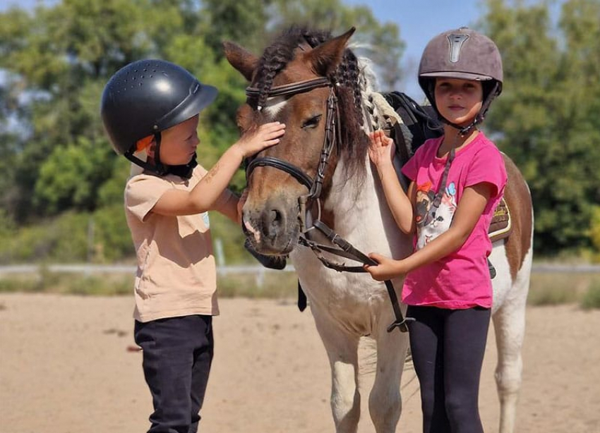 Осень в гармонии с природой в Конно-спортивном клубе «GREEN HORSE»