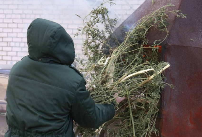 Волгоградские наркополицейские уничтожили в огне более 5000 разовых доз