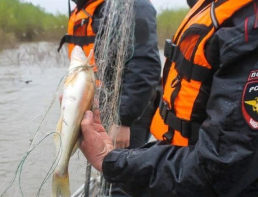 В Ленинском районе поймали «рыбных» браконьеров 