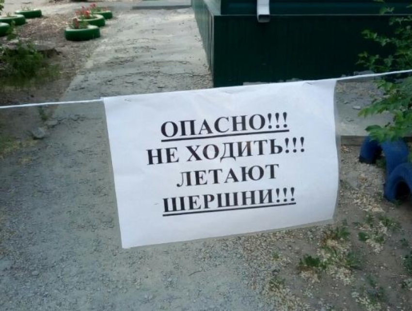 Волжан предупредили об опасных шершнях у кожно-венерологического диспансера
