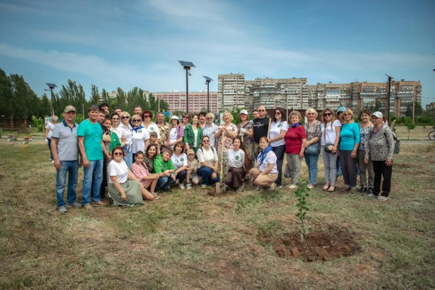 Аллею поддержки участников СВО высадили в парке «Новый город» в Волжском