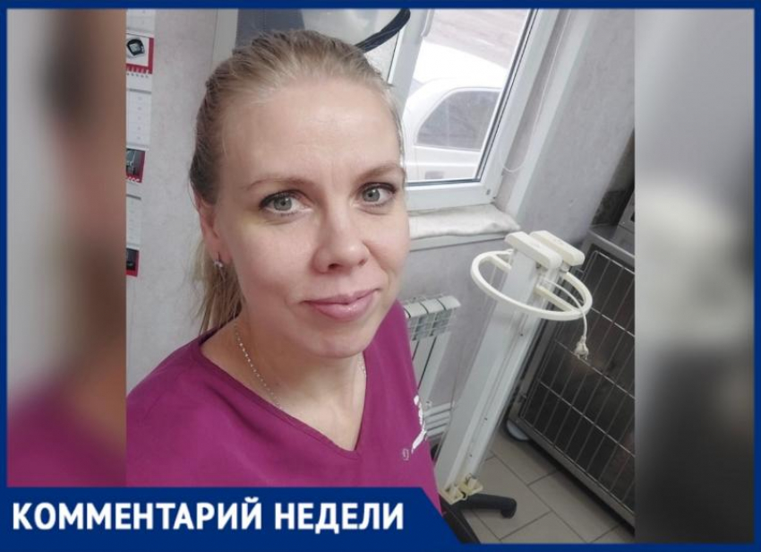 В Волжском на сайте объявлений появились новорожденные щенки: ветеринар дала разъяснение